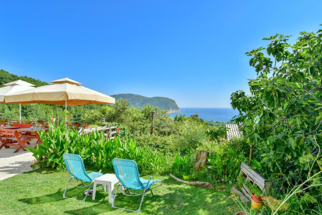 Pataki Guesthouse Petrovac Exterior foto